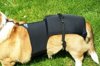 Bedrový korzet gorsety-9.jpg