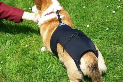 Bedrový korzet gorsety-8.jpg