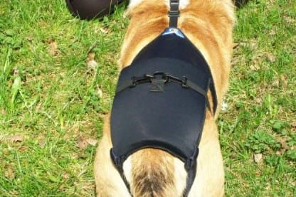 Bedrový korzet l-d-wiowy-1.jpg