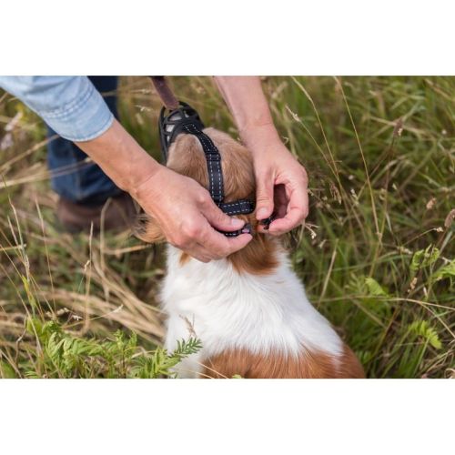 Silikónový náhubok Muzzle Flex kaganiec-muzzle-flex-sylikonowy-m-czarny (1).jpg