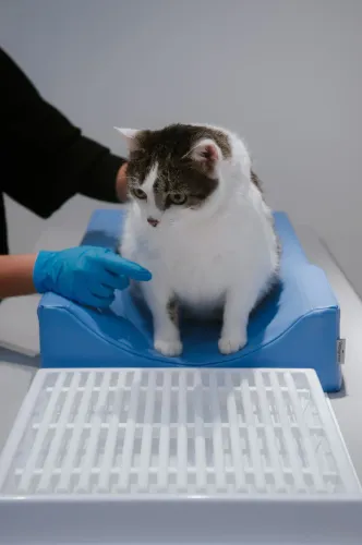 Zubný odvádzač + polohovacia súprava M 4PI4457-scaled.webp