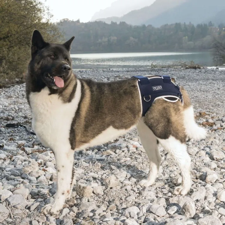 balto-stabilizator-rozdrabniajacy-i-zlacze-ledzwiowe (1).jpg