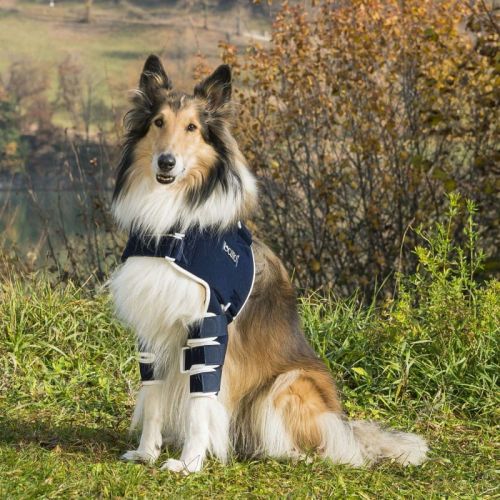 Ramenná opierka pre psov Balto balto-orteza-na-ramie (2).jpg