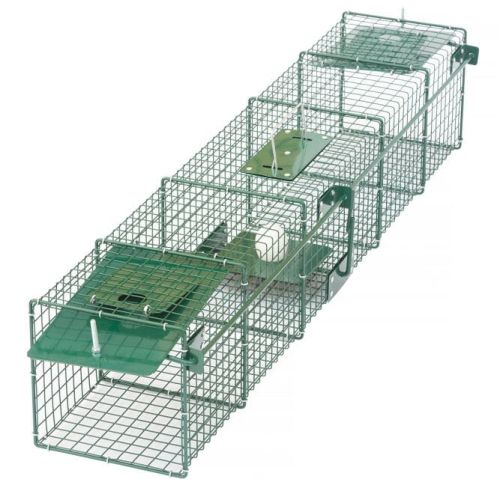 STR pasca s dvoma vstupmi na kuny, tchory, hraboše 556-6_fermo.jpg