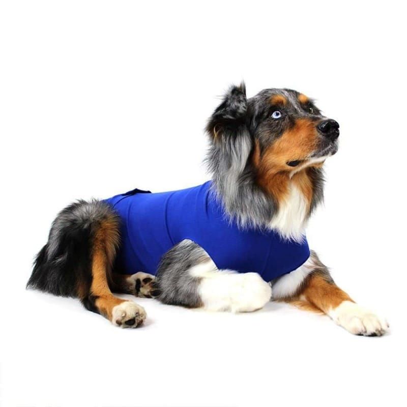 Pooperačné šaty Recova Balto