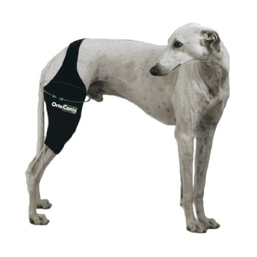 Ortéza ľavého kolena pre psov Ortocanis ortocanis-orteza-kolana-dla-psa (2).jpg