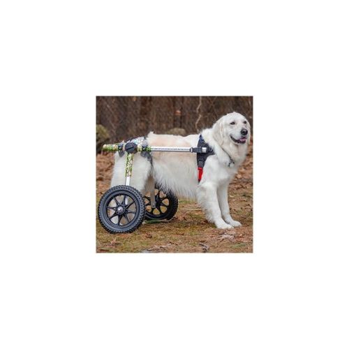 Postroj na zdvíhanie psov Walkin Warrior walkin-warrior-hatso-ham-kutyakocsihoz- (4).jpg