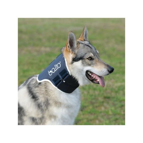 Ortopedický obojok Balto pre psy a mačky balto-obroza-ortopedyczna-dla-psa-i-kota (2).jpg