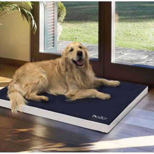 Ortopedický penový matrac Balto balto-lozko-ortopedyczne-dla-psa (4).jpg