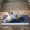 balto-lozko-ortopedyczne-dla-psa (3).jpg