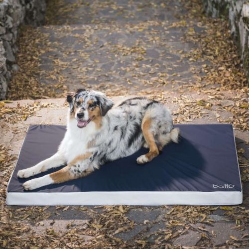 Ortopedický penový matrac Balto balto-lozko-ortopedyczne-dla-psa (3).jpg