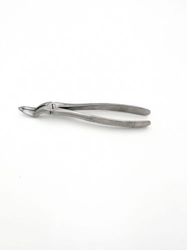 Berten kliešte horné korene obr.97L AGA 145 IMG_6311.jpg