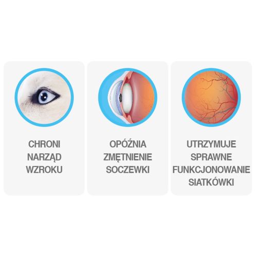 VITAZIUM podpora zraku 40 ks Eurowet WYZIUM wspomaganie wzroku 40 szt Eurowet-3.jpg