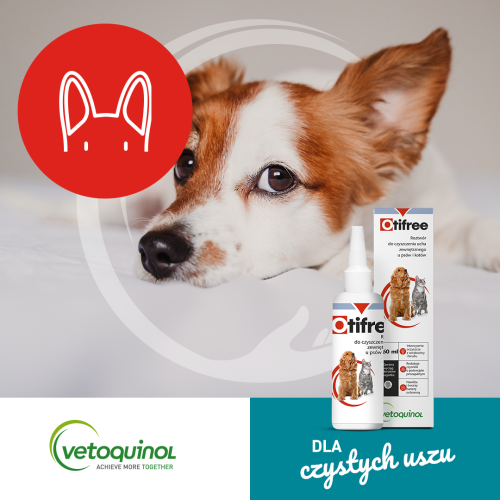 Otifree pre psy a mačky 01_vetoquinol_2022_SM_post-fb_karuzela_1080x1080_otifree_01.png