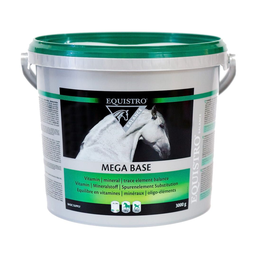 Equistro Mega Base dla koni 3000 g.jpg
